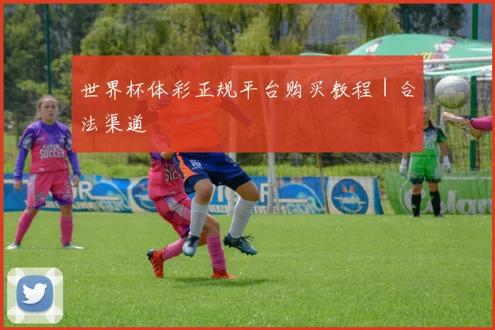 世界杯体彩正规平台购买教程｜合法渠道