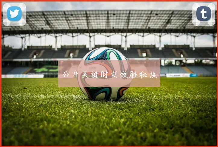 公牛关键时刻致胜秘诀