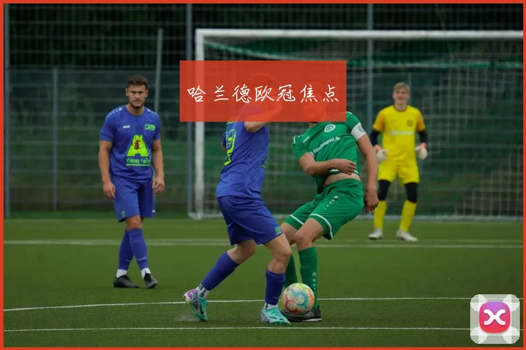 哈兰德欧冠焦点
