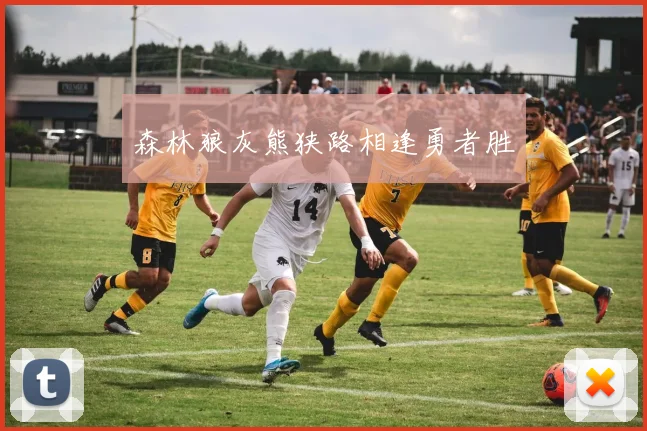森林狼灰熊狭路相逢勇者胜