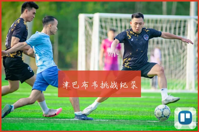 津巴布韦挑战纪录