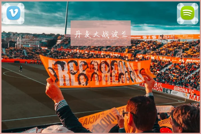 丹麦大战波兰
