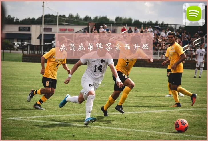 鹿岛鹿角阵容全面升级