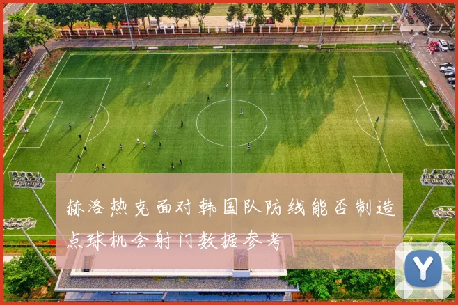 赫洛热克面对韩国队防线能否制造点球机会射门数据参考