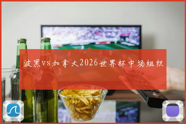 波黑vs加拿大2026世界杯中场组织