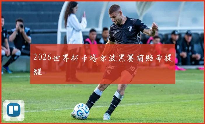 2026世界杯卡塔尔波黑赛前赔率提醒