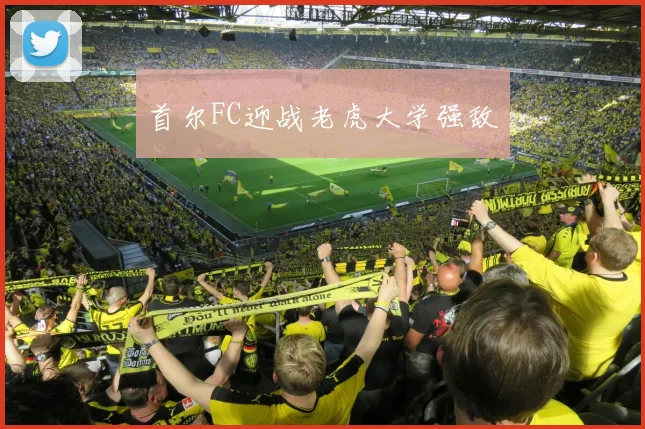 首尔FC迎战老虎大学强敌