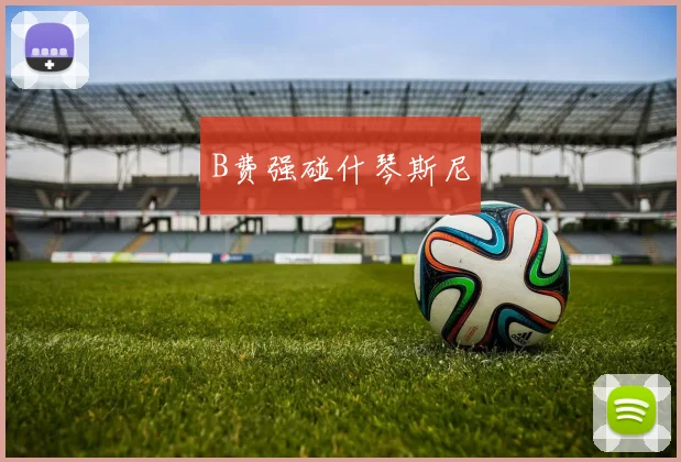 B费强碰什琴斯尼