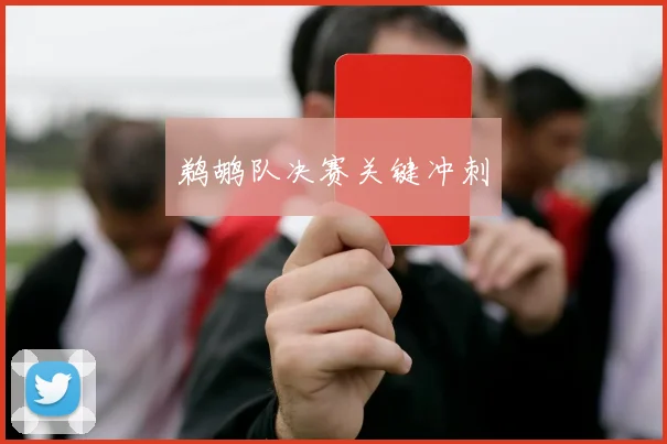 鹈鹕队决赛关键冲刺