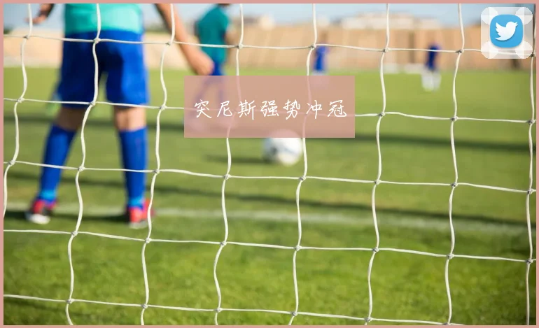 突尼斯强势冲冠