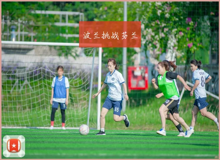 波兰挑战芬兰