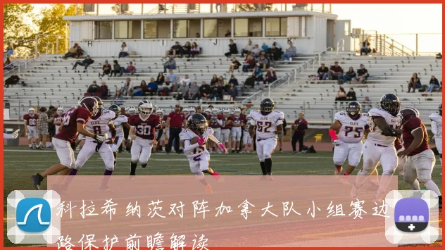 科拉希纳茨对阵加拿大队小组赛边路保护前瞻解读