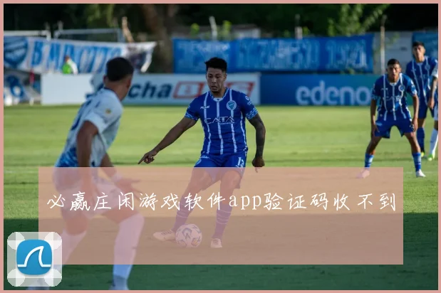 必赢庄闲游戏软件app验证码收不到